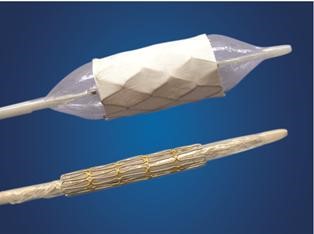 Covered Mounted CP Stent