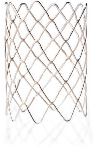 Bare CP Stent